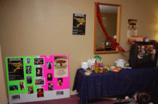 ValleyCon 37 - 2011
